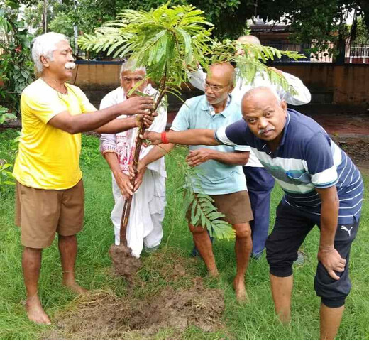 राष्ट्रकवि मैथिलीशरण गुप्त की जयंती पर पर्यावरण भारती द्वारा पौधारोपण, औषधीय वृक्ष आंवला रोपा गया
